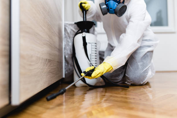 Reliable Deadwood, SD Pest Control Solutions