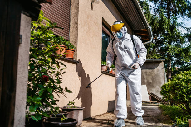 Best Local Pest Control Services  in Deadwood, SD