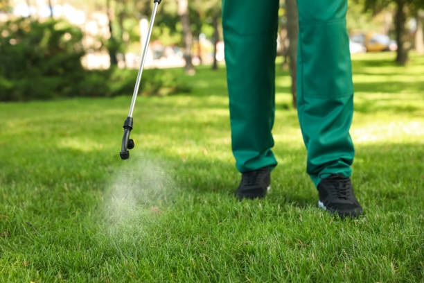 Best Wasp Removal Services  in Deadwood, SD