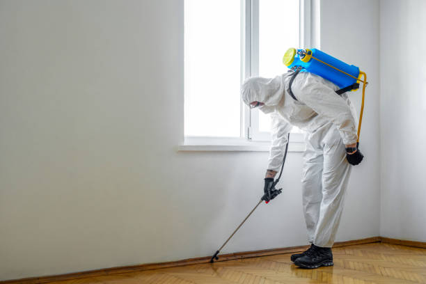 Best Exterminator Services  in Deadwood, SD