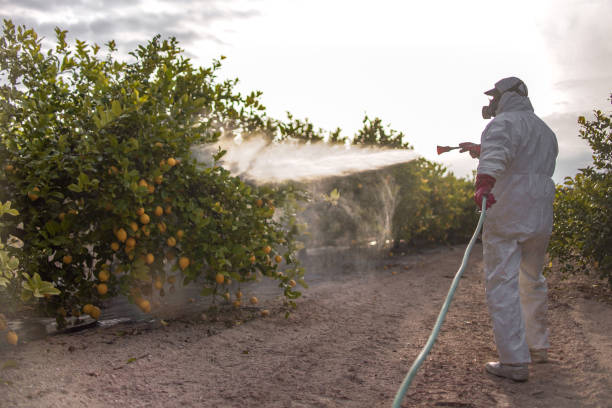 Best Mosquito Control Services  in Deadwood, SD