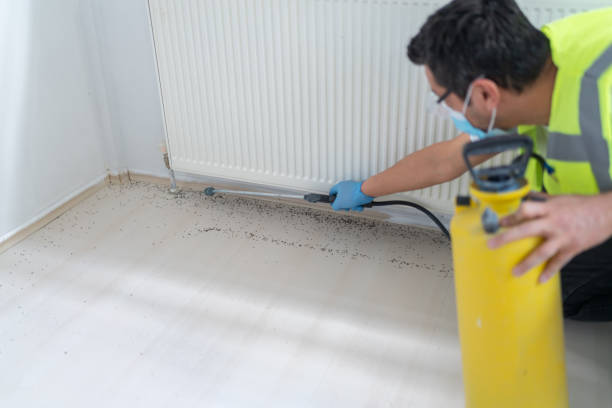 Pest Control Cost in Deadwood, SD